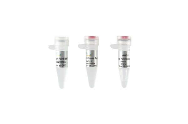 TransFast® Taq DNA Polymerase(with 2.5 mM dNTPs)