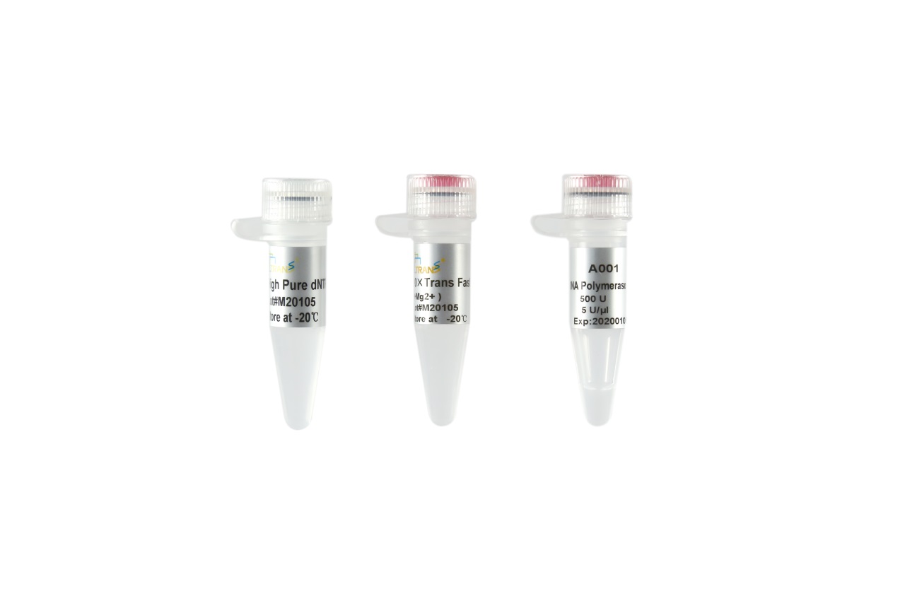 TransFast® Taq DNA Polymerase(with 2.5 mM dNTPs)