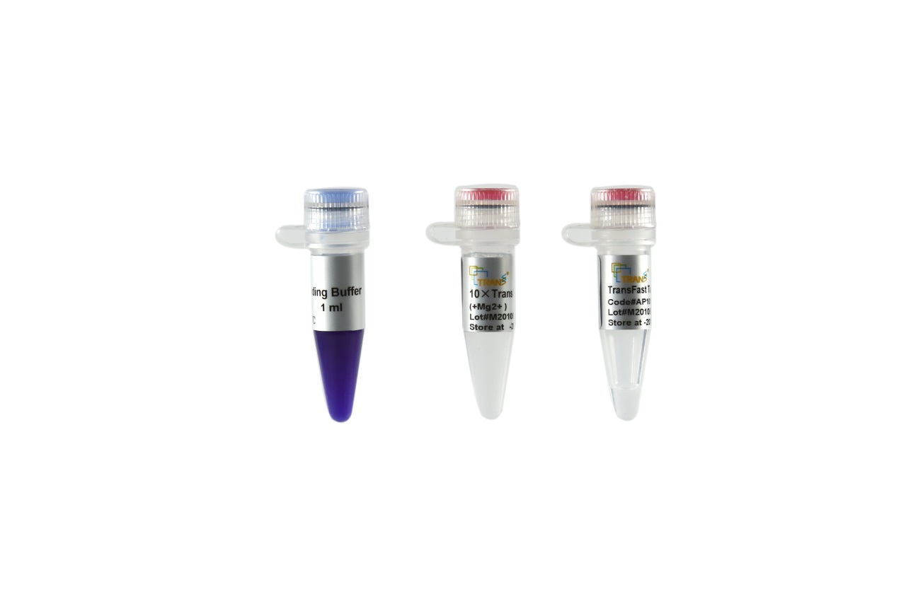 TransFast® Taq DNA Polymerase