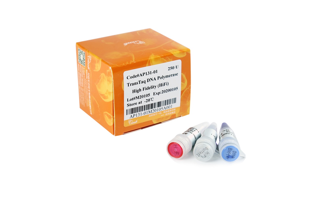 TransTaq® DNA Polymerase High Fidelity (HiFi)