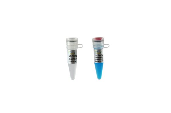2×EasyTaq® PCR SuperMix (+dye )