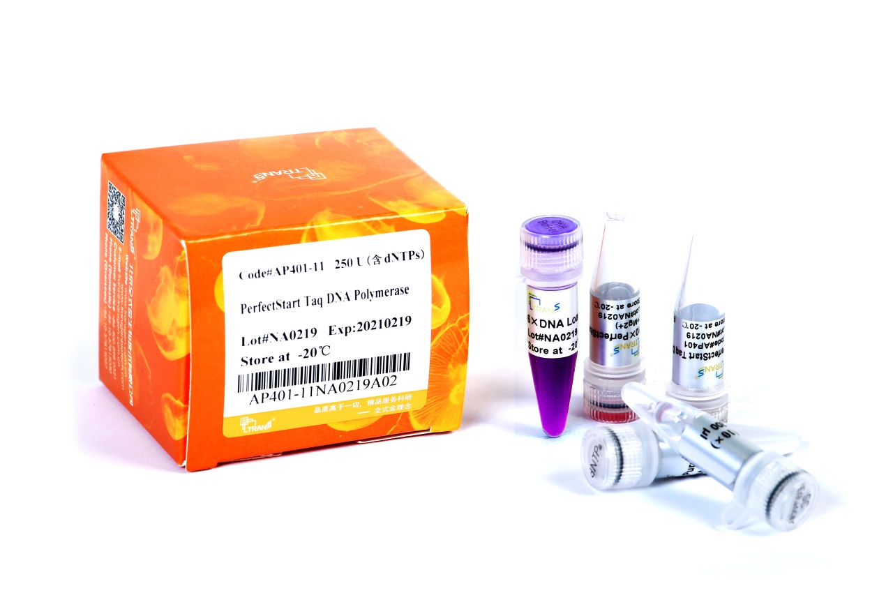 PerfectStart® Taq DNA Polymerase (with 2.5 mM dNTPs)