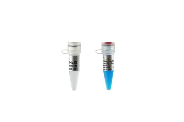 2×EasyTaq® PCR SuperMix for PAGE (+dye)