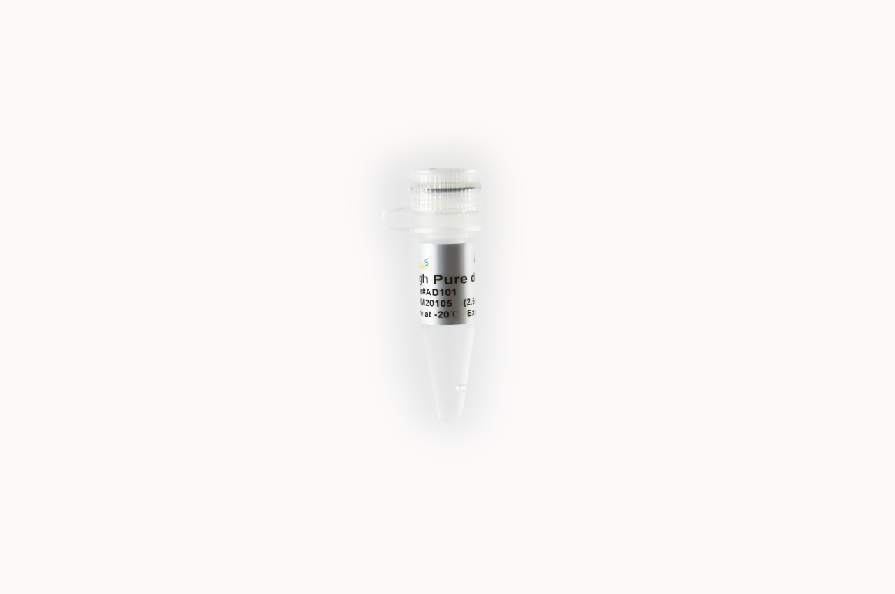High Pure dNTPs (2.5 mM)