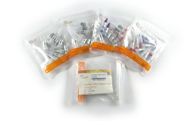 EasyTaq® DNA Polymerase for PAGE (with 2.5 mM dNTPs)