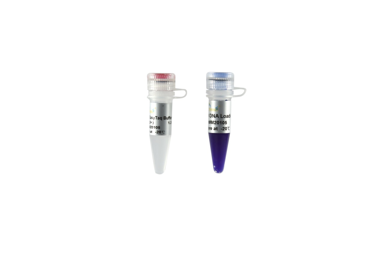 EasyTaq® DNA Polymerase for PAGE