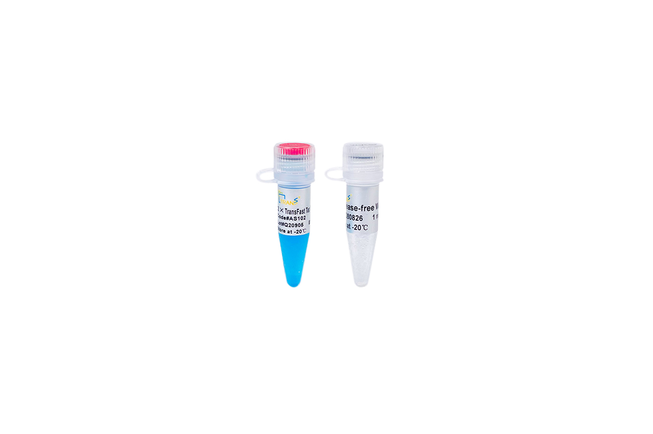 2×TransFast® Taq PCR SuperMix (+dye)