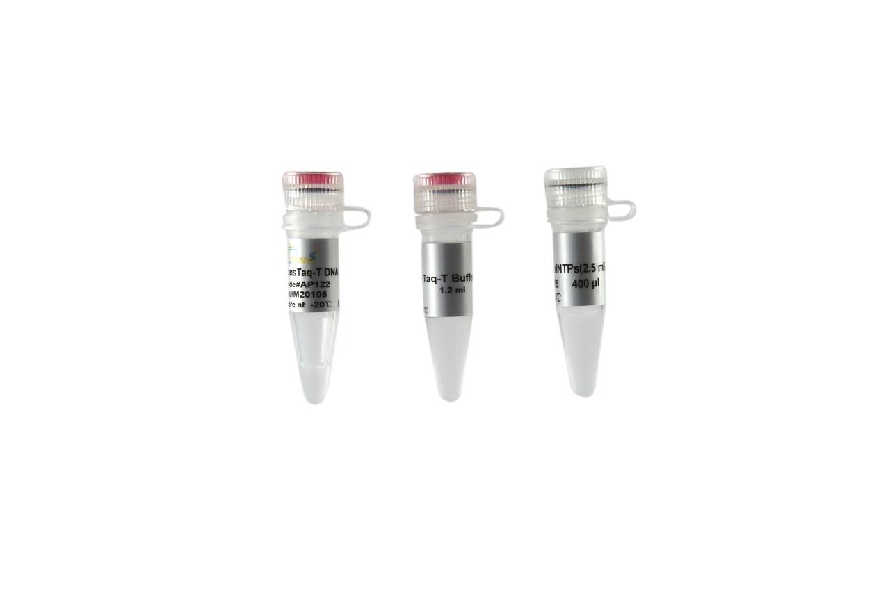 TransTaq® -T DNA Polymerase (with 2.5 mM dNTPs)