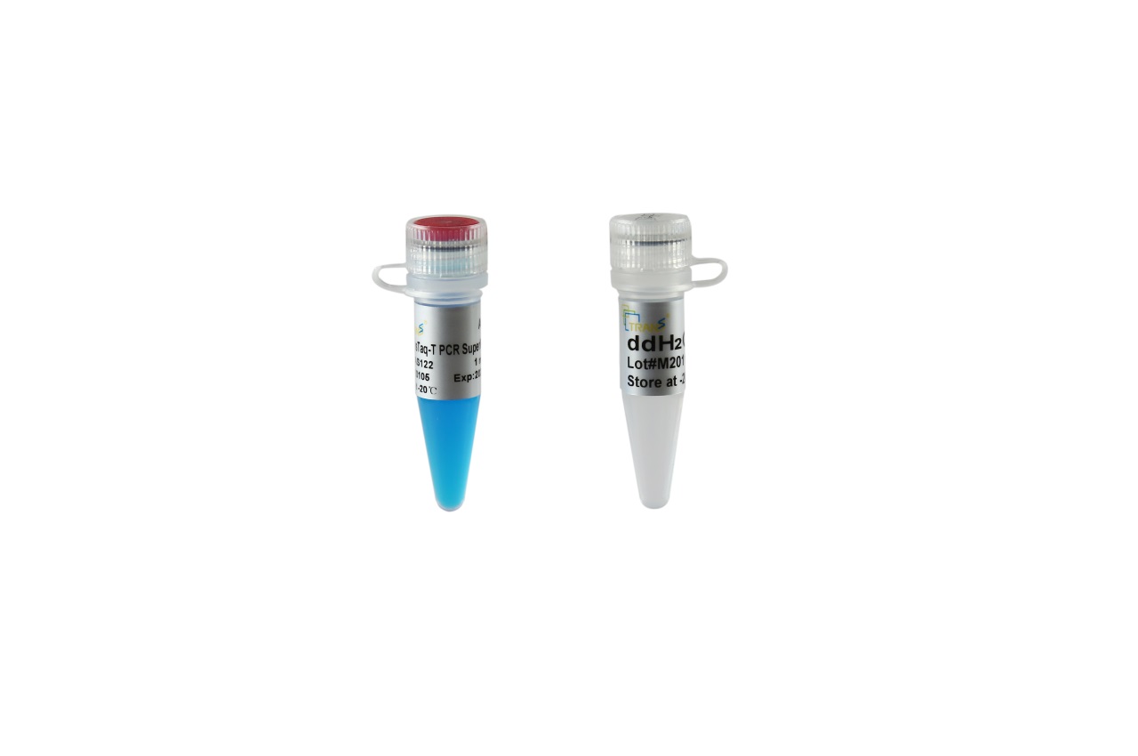 2×TransTaq®-T PCR SuperMix (+dye)