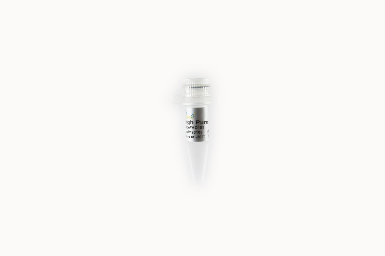 High Pure dNTPs (10 mM)