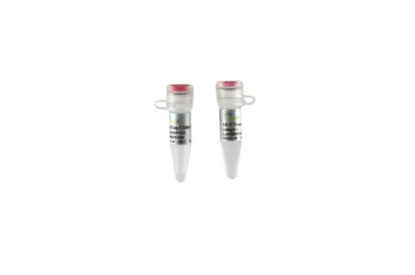 TransTaq® -T DNA Polymerase