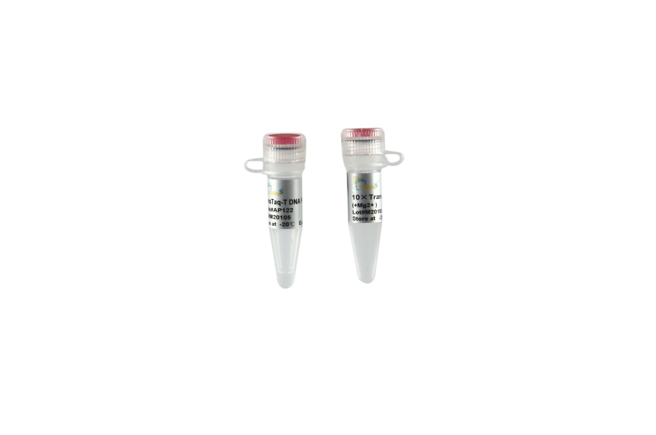 TransTaq® -T DNA Polymerase