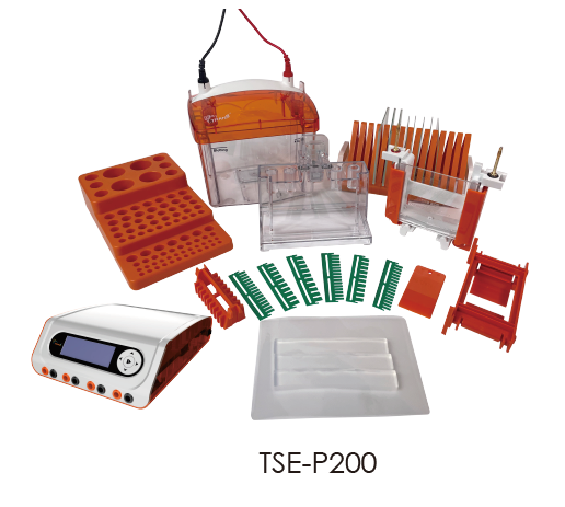 TSE-P200 Mini Vertical Electrophoresis System