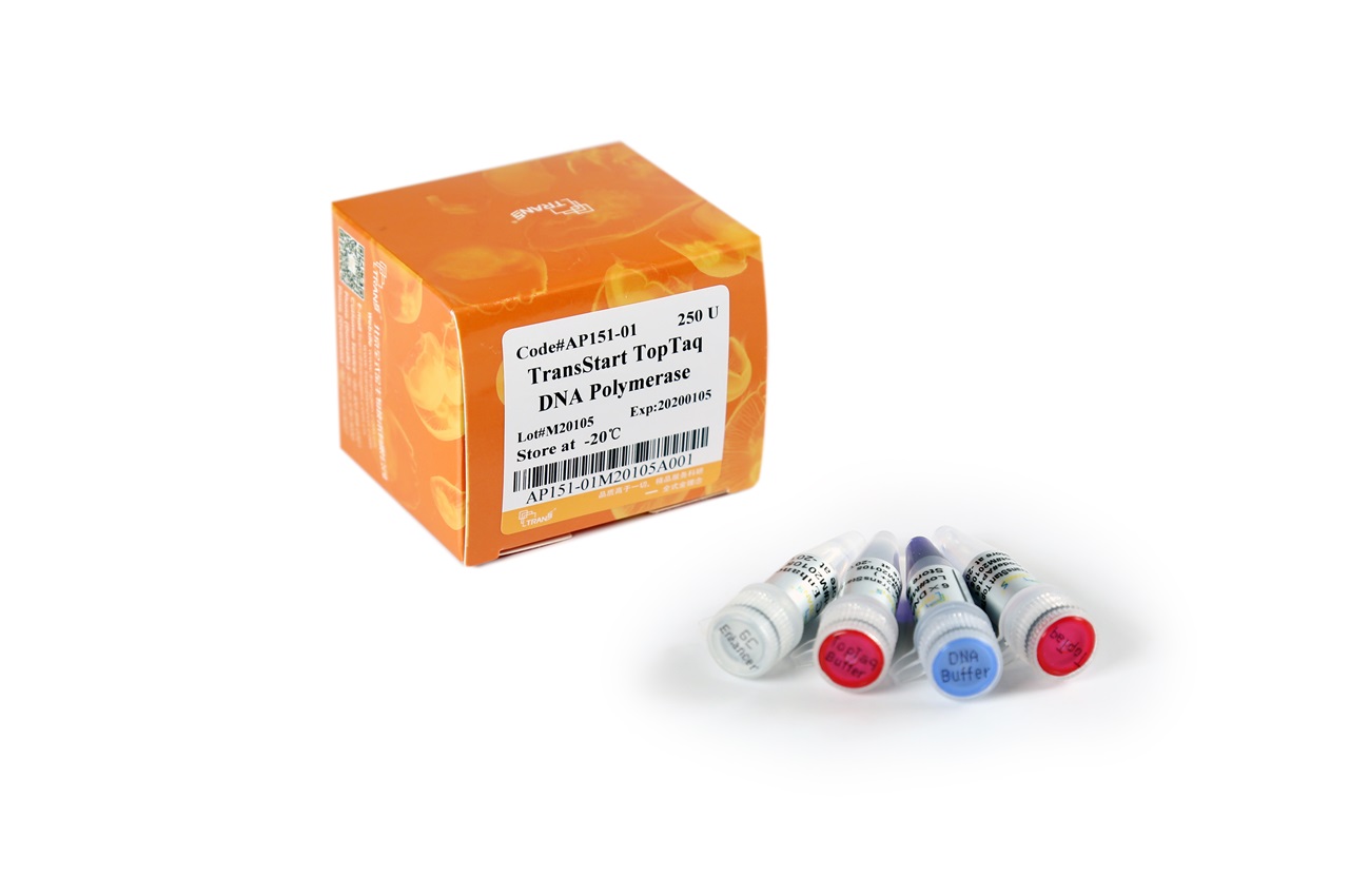TransStart® TopTaq DNA Polymerase (with 2.5 mM dNTPs)