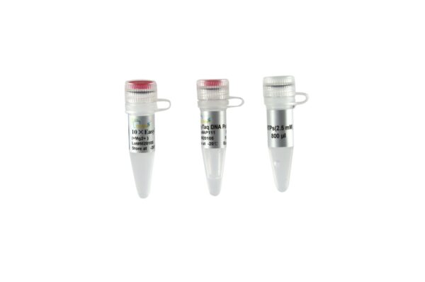 EasyTaq® DNA Polymerase (with 2.5 mM dNTPs)