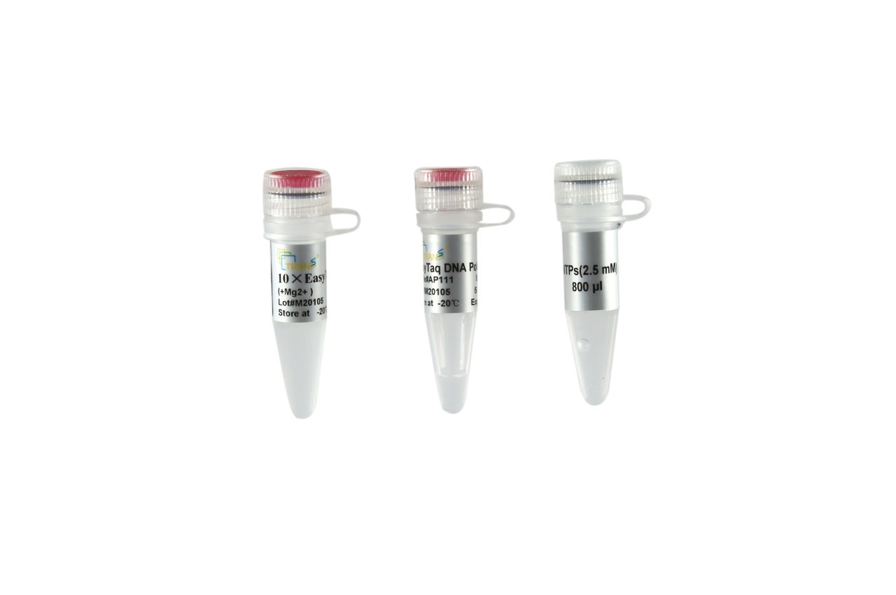 EasyTaq® DNA Polymerase (with 2.5 mM dNTPs)