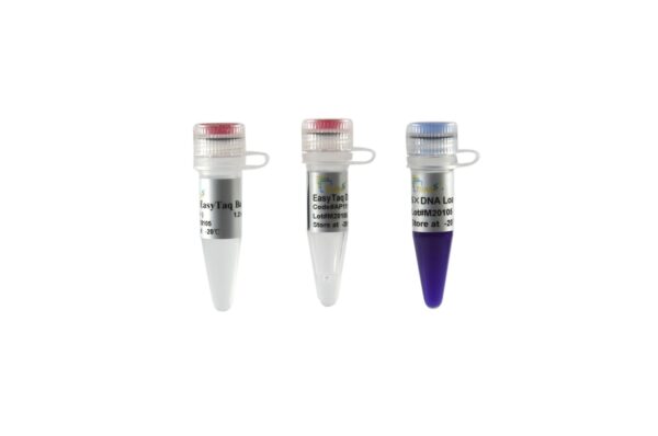 EasyTaq® DNA Polymerase
