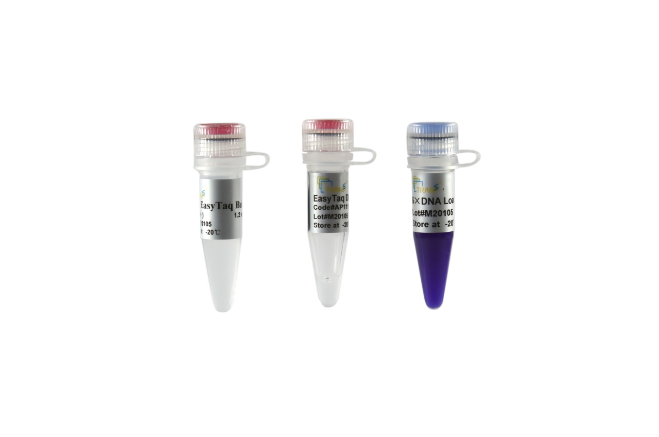 EasyTaq® DNA Polymerase