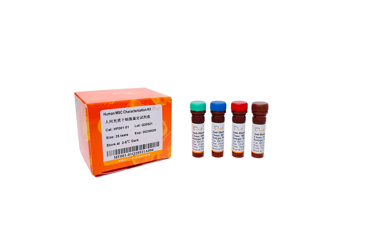 Human MSC Characterization Kit