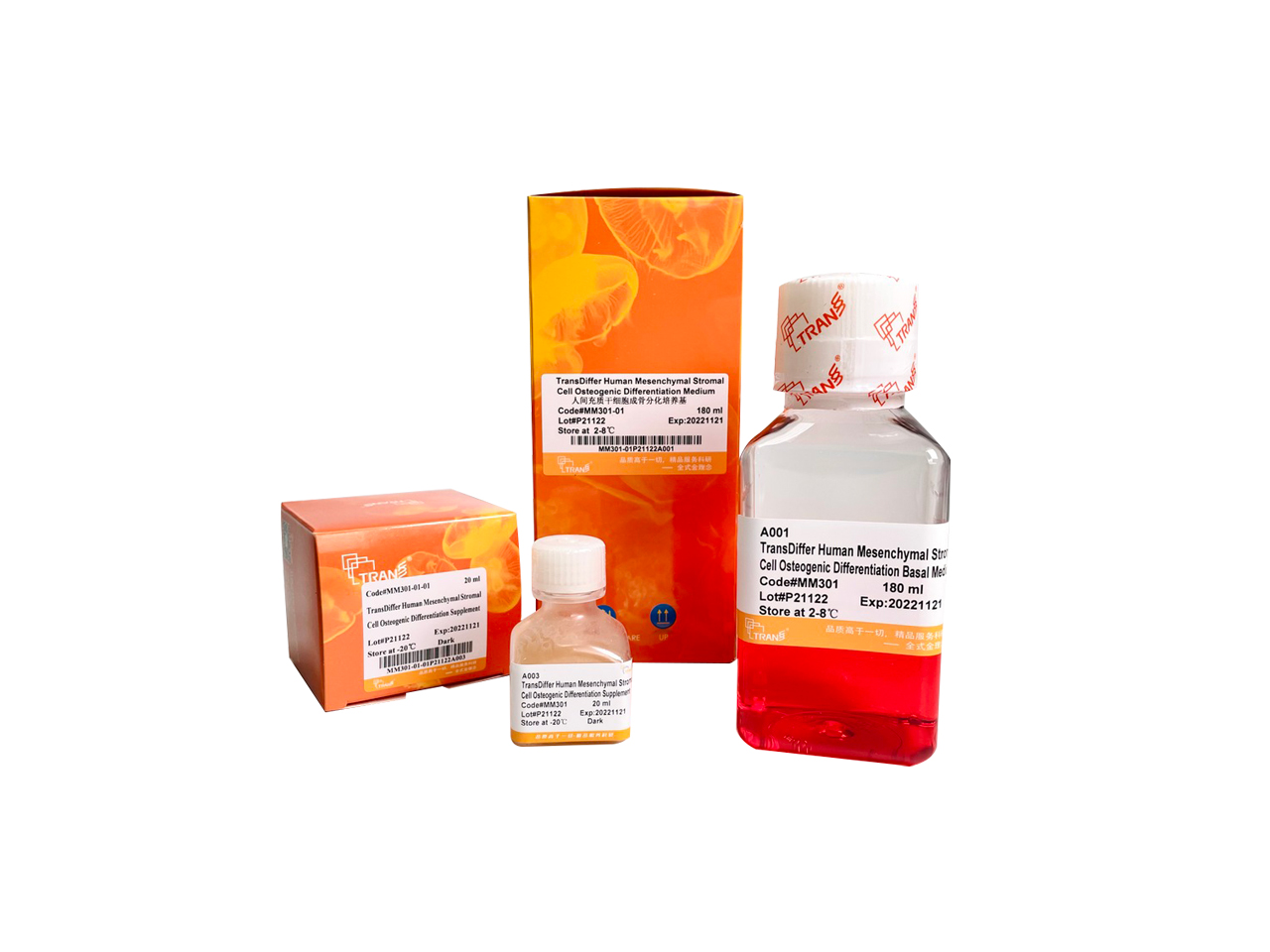 TransDiffer® Human Mesenchymal Stromal Cell Osteogenic Differentiation