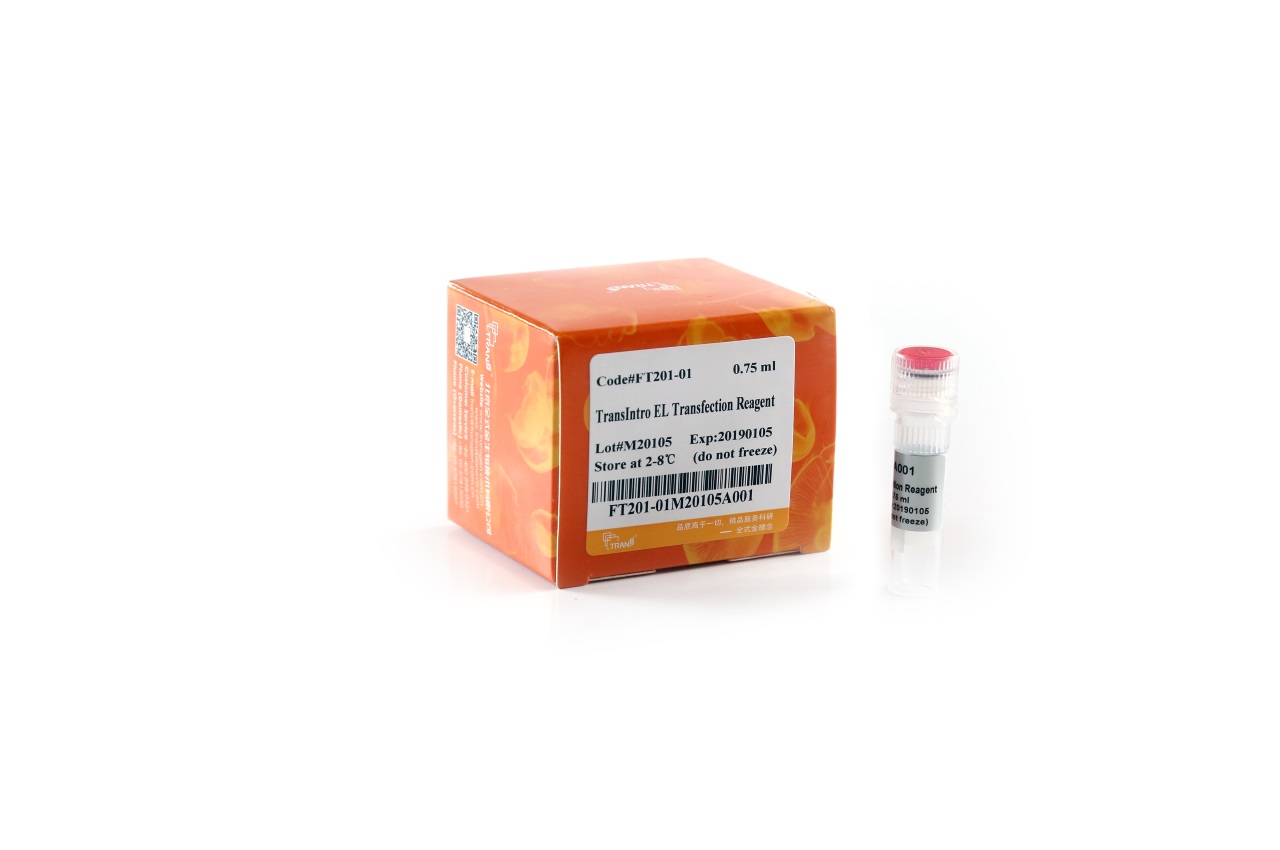TransIntro® EL Transfection Reagent