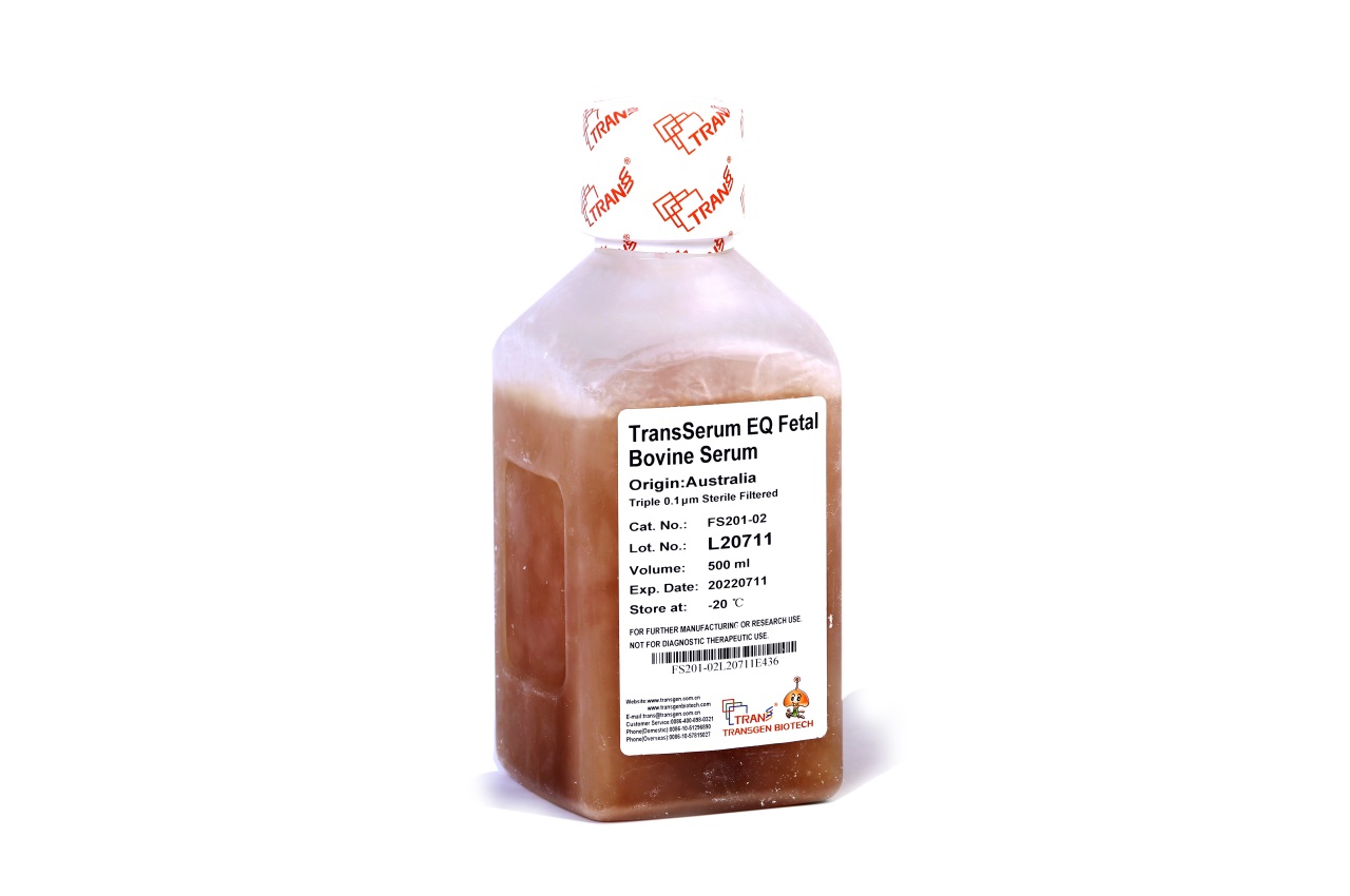 TransSerum® EQ Fetal Bovine Serum