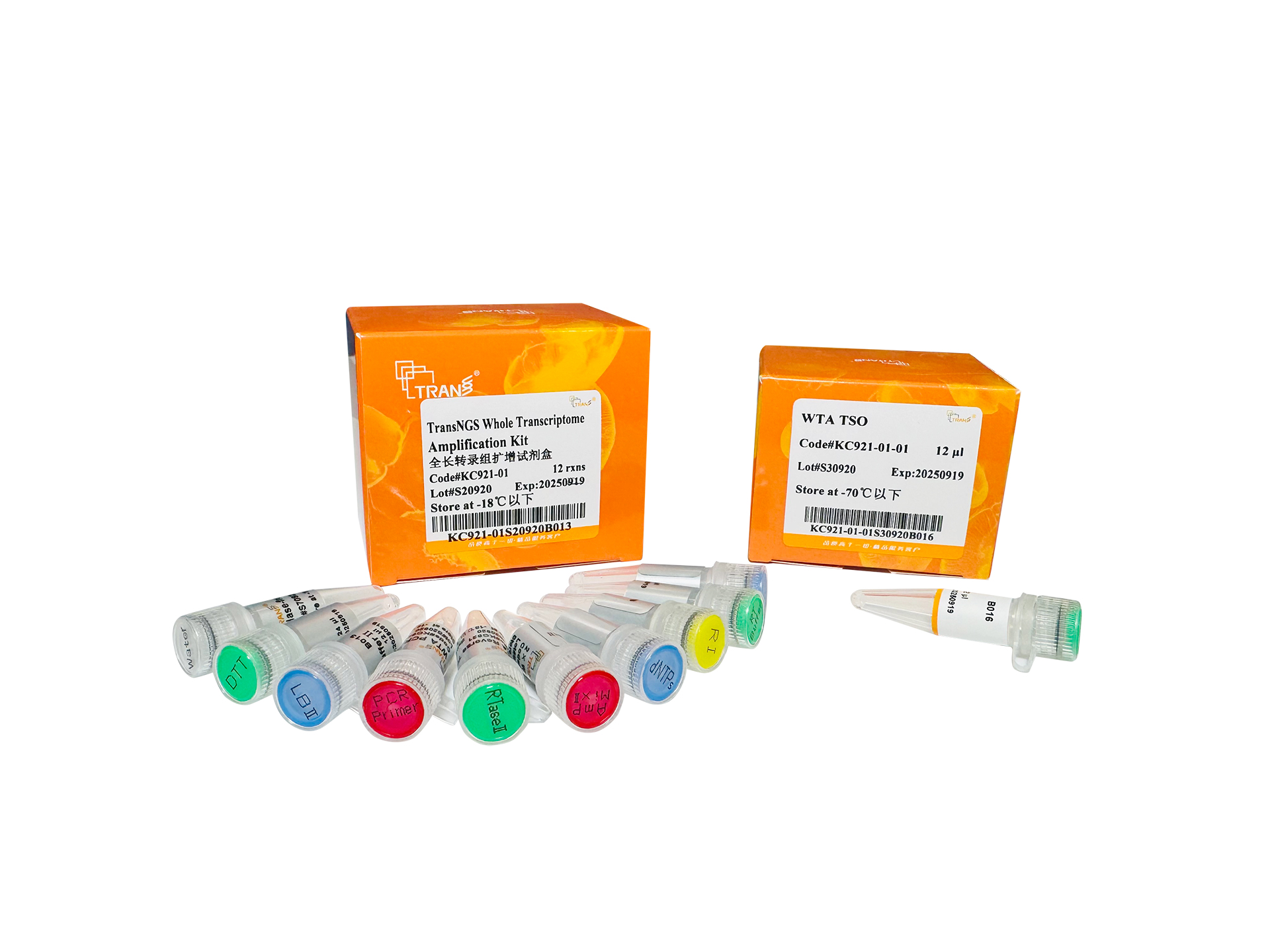 TransNGS® Whole Transcriptome Amplification Kit