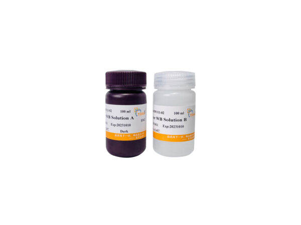 EasySee® Super Western Blot Kit