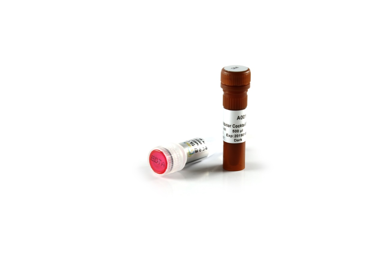 ProteinSafeTM Protease Inhibitor Cocktail (100×)