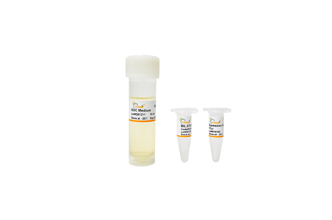 BL21(DE3) Chemically Competent Cell