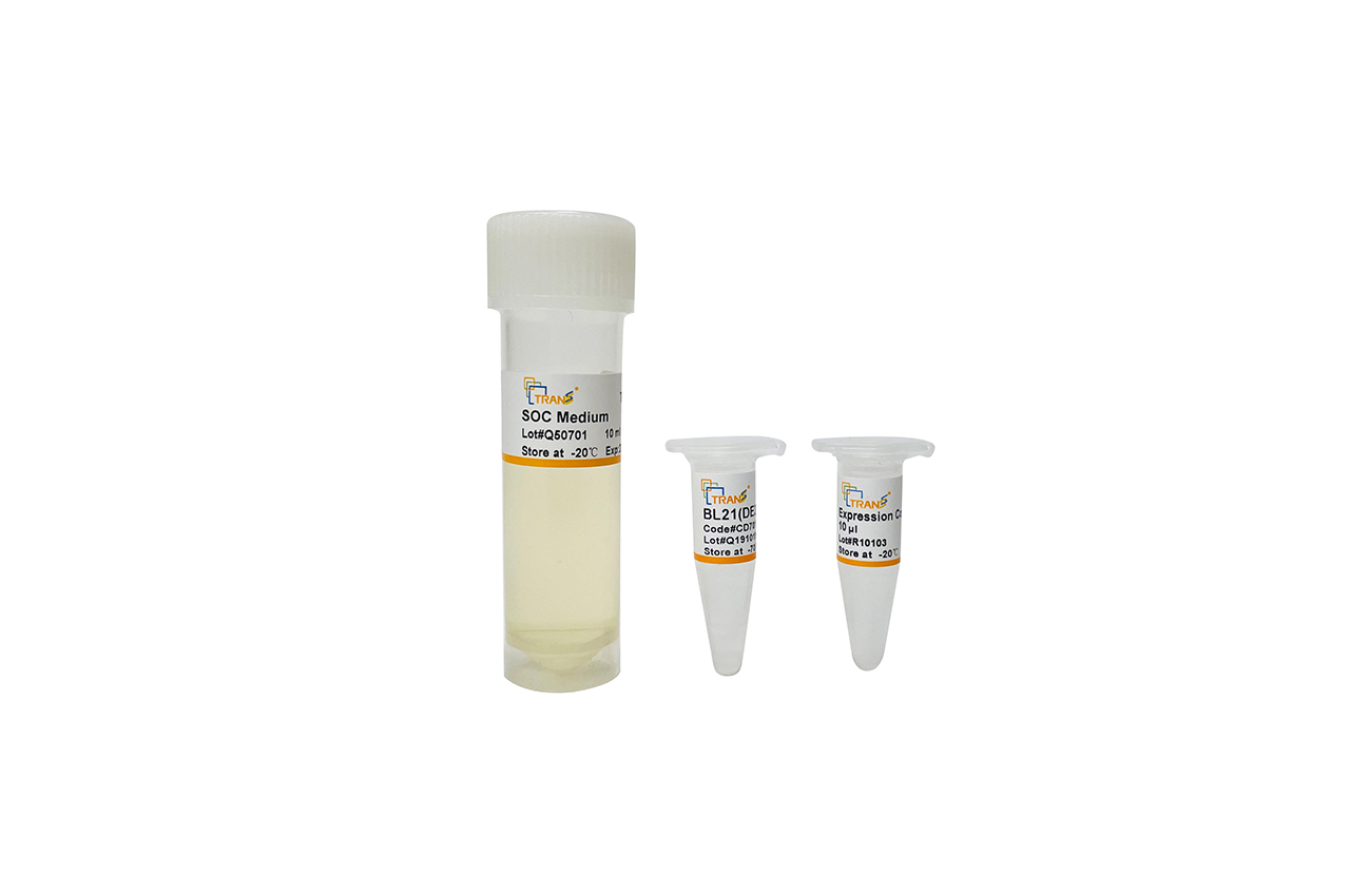 BL21(DE3) pLysS Chemically Competent Cell