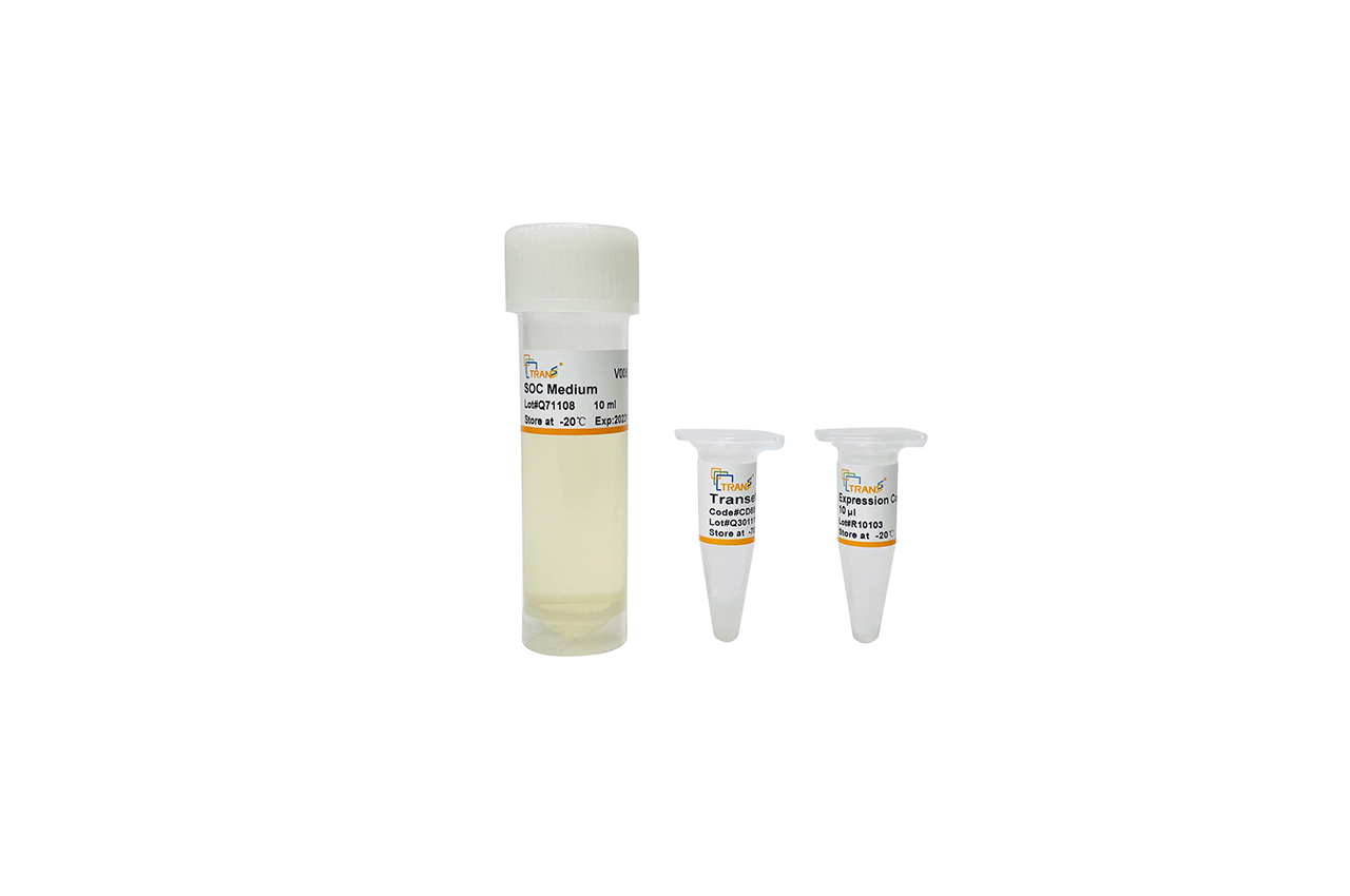 Transetta(DE3) Chemically Competent Cell