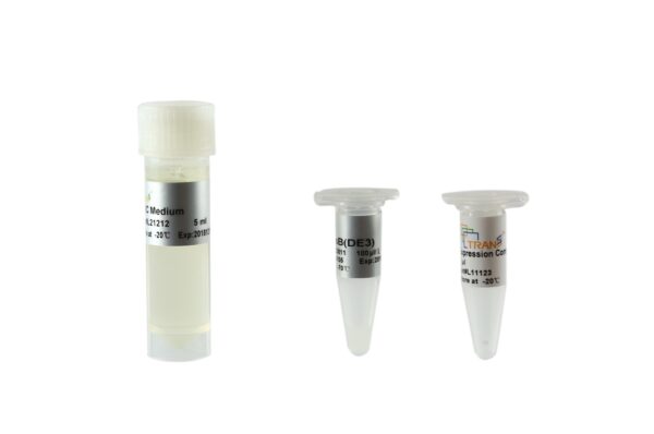 TransB(DE3) Chemically Comptent Cell