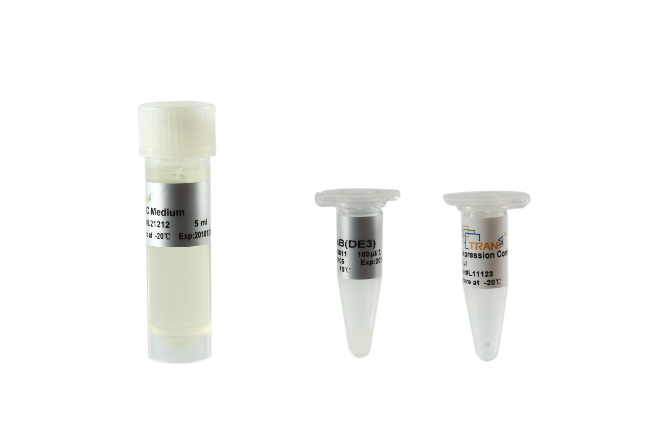 TransB(DE3) Chemically Comptent Cell