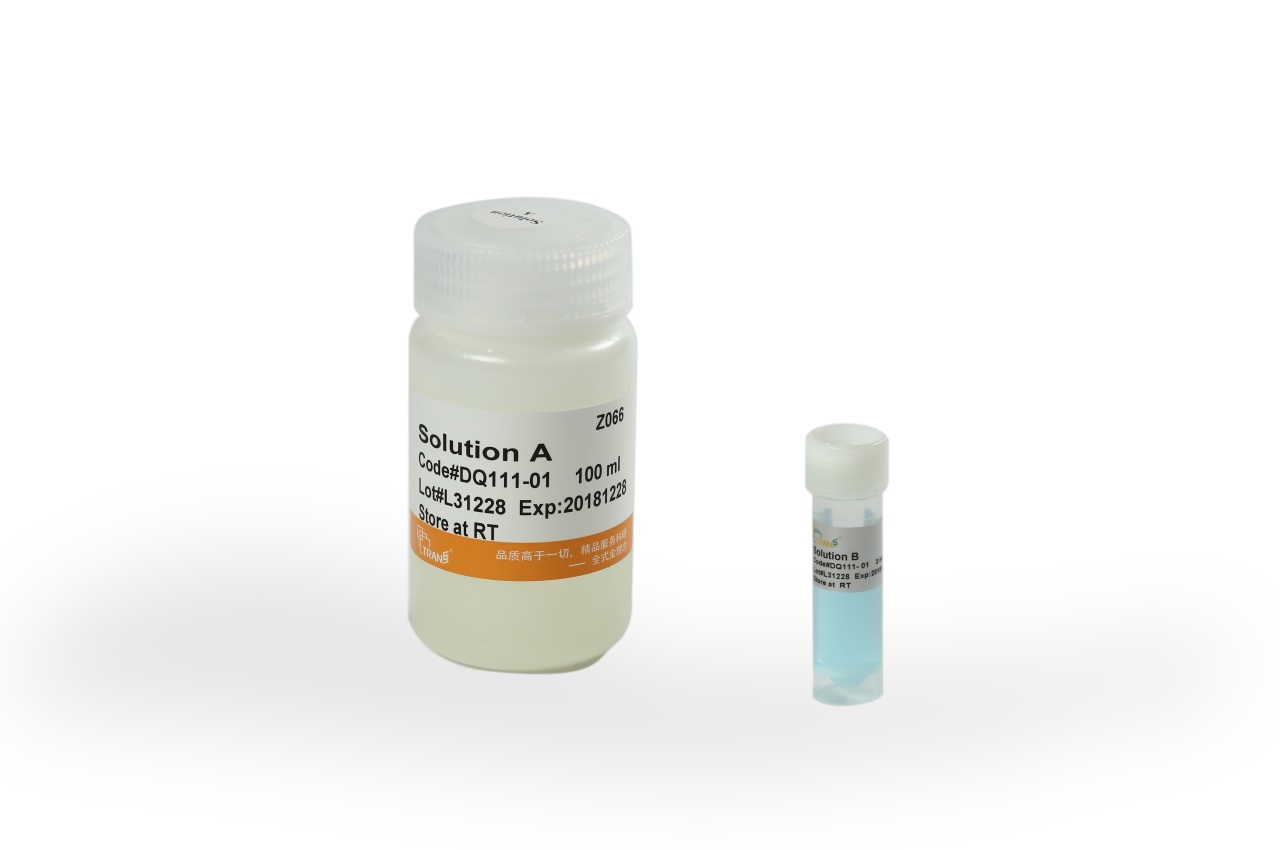 Easy II Protein Quantitative Kit (BCA)