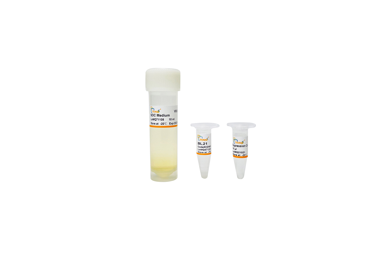BL21 Chemically Competent Cell