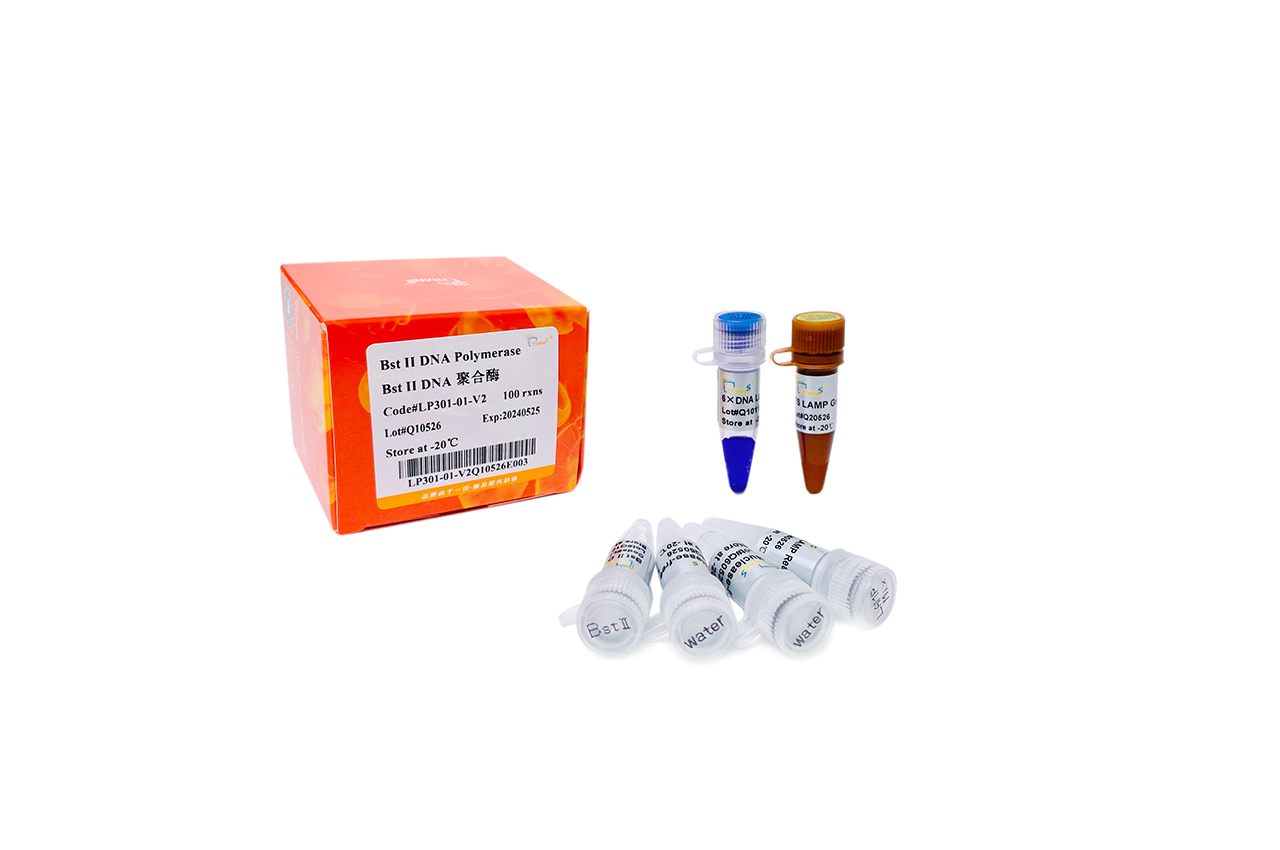 Bst II DNA Polymerase