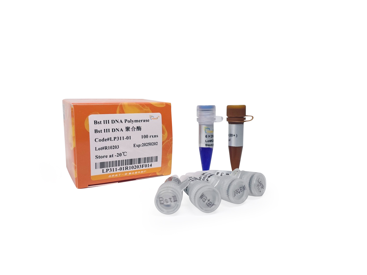 Bst III DNA Polymerase