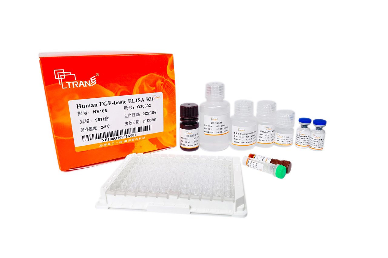 Human FGF basic ELISA Kit