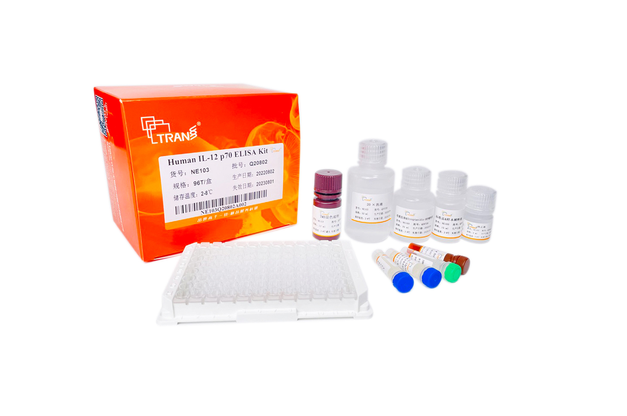 Human IL-12 p70 ELISA Kit