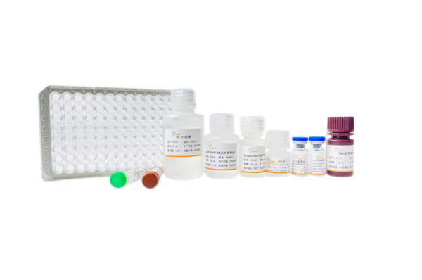Human IL-6 ELISA Kit