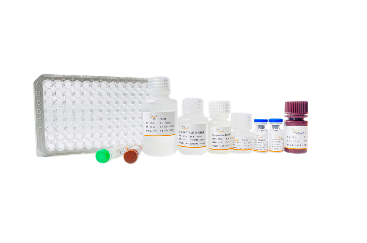 Human IL-6 ELISA Kit