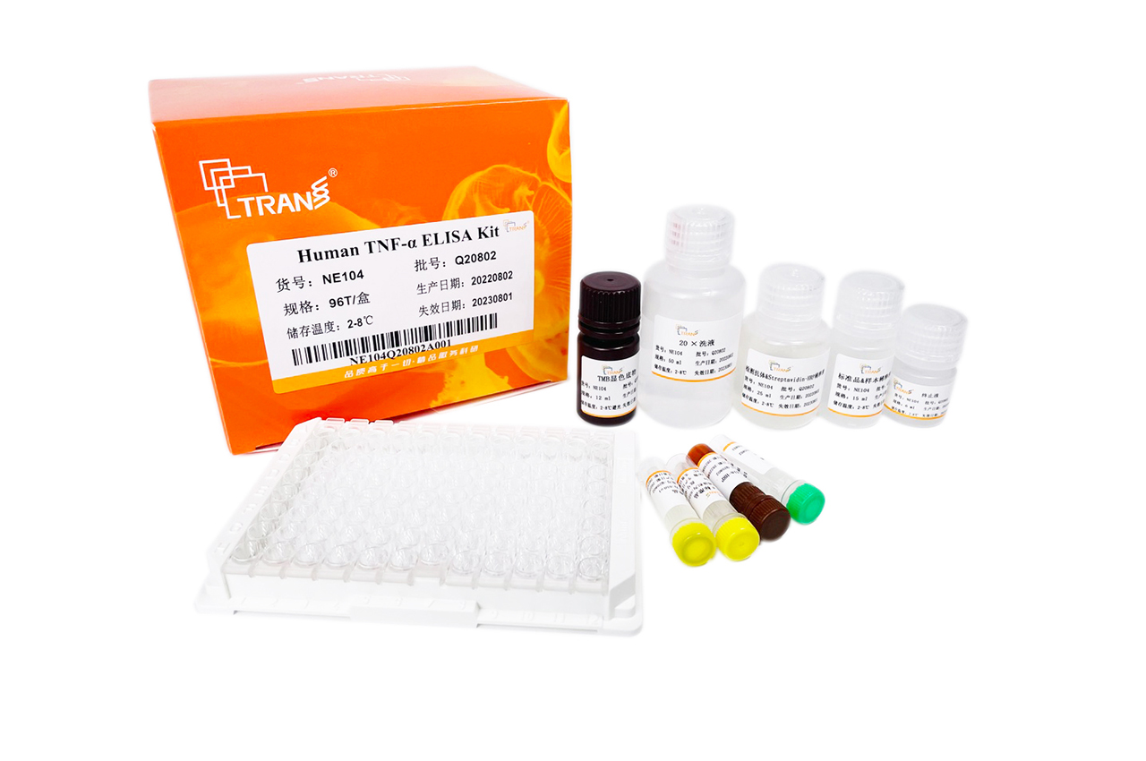 Human TNF-α ELISA Kit