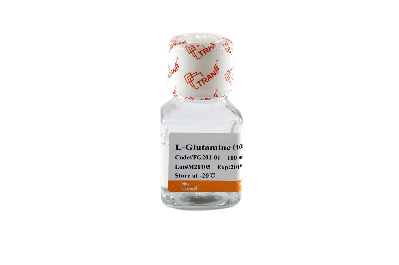 L-Glutamine (100×)