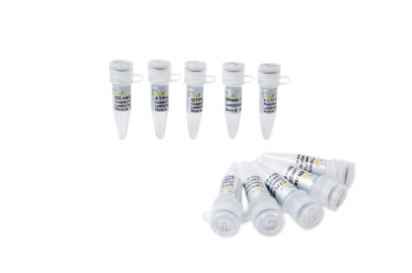 T7 High Efficiency Transcription Kit