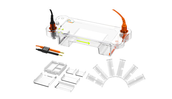 TSE-N Multipurpose Horizontal Electrophoresis Unit