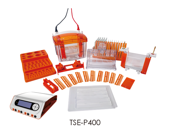 TSE-P400 Mini Vertical Electrophoresis System