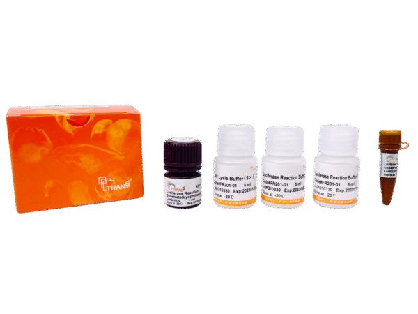 TransDetect® Double-Luciferase Reporter Assay Kit