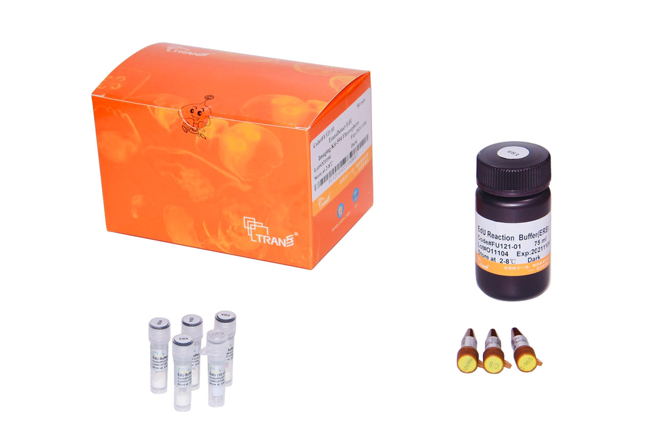 TransDetect® EdU Imaging Kit-594 Fluorophore
