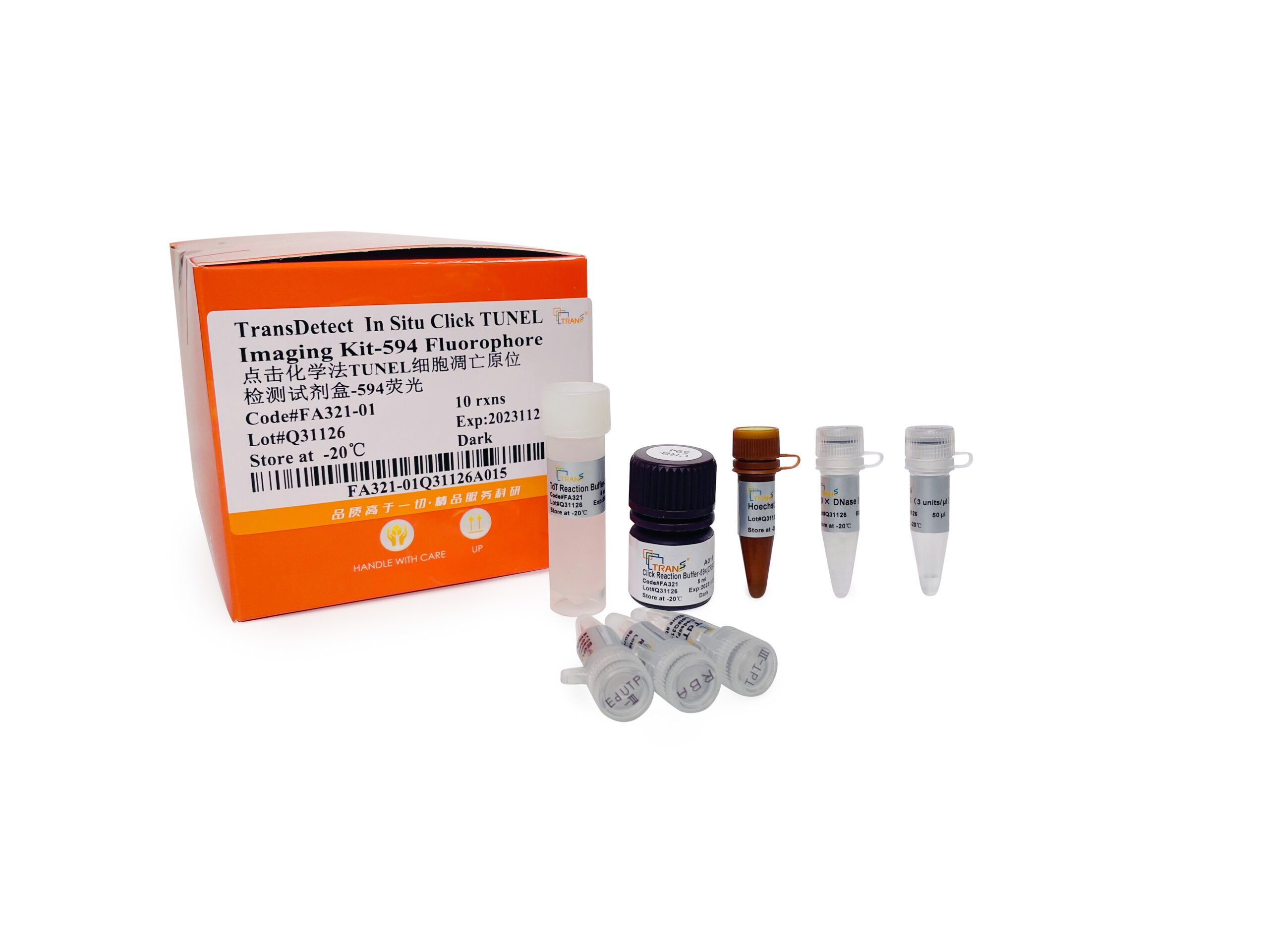 TransDetect® In Situ Click TUNEL Imaging Kit-594 Fluorophore
